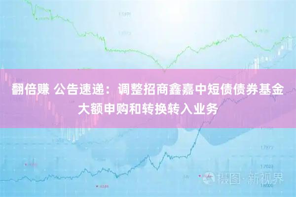 翻倍赚 公告速递：调整招商鑫嘉中短债债券基金大额申购和转换转入业务