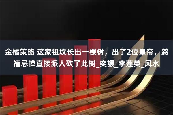 金橘策略 这家祖坟长出一棵树，出了2位皇帝，慈禧忌惮直接派人砍了此树_奕譞_李莲英_风水