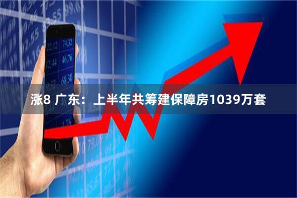 涨8 广东：上半年共筹建保障房1039万套
