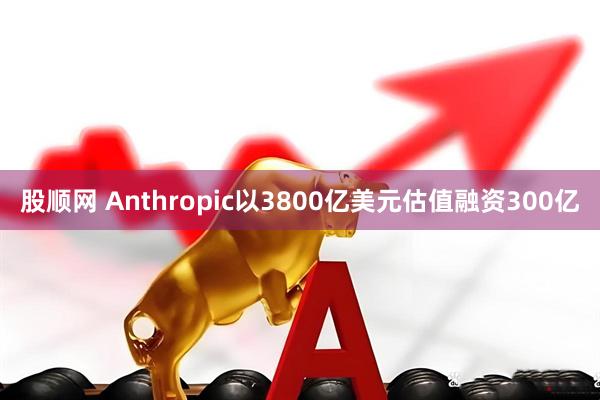 股顺网 Anthropic以3800亿美元估值融资300亿