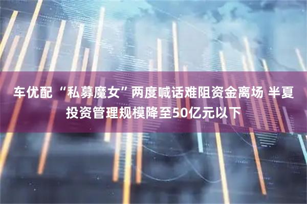 车优配 “私募魔女”两度喊话难阻资金离场 半夏投资管理规模降至50亿元以下